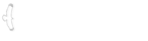 Inspiriosity Logo